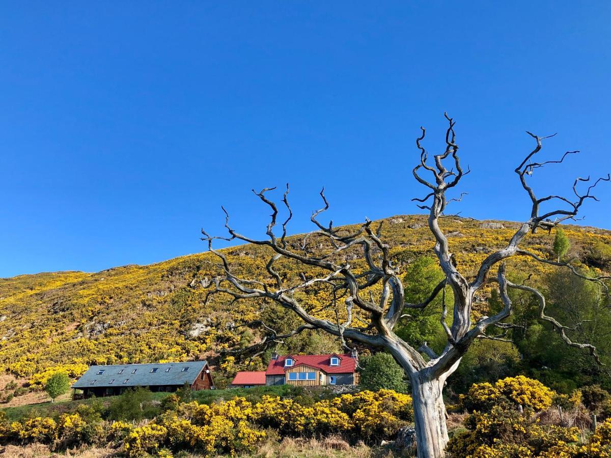 Nan'S Cottage Beauly Dış mekan fotoğraf
